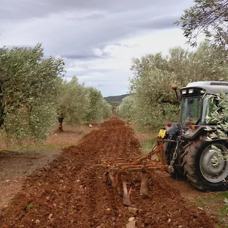 住宿加早餐酒店 Escale Au Salagou