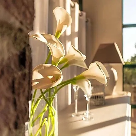 Bed & Breakfast Escale Au Salagou 3*