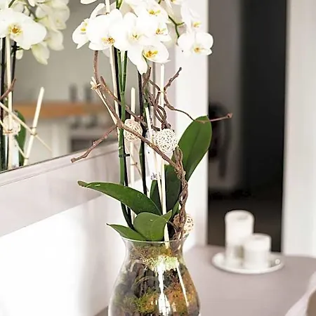 Escale Au Salagou 3* Le Bosc (Herault)
