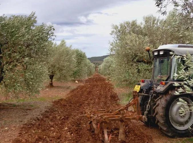 Oda ve Kahvaltı Escale Au Salagou